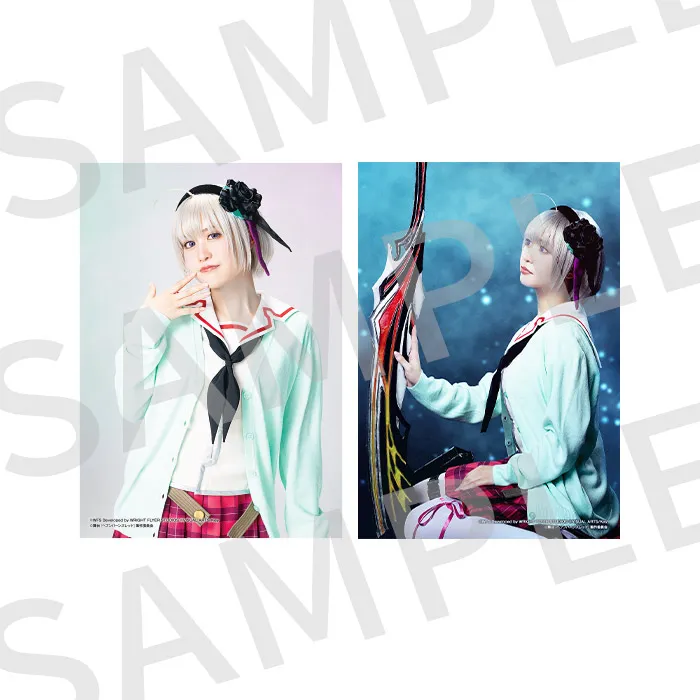 個人ブロマイド