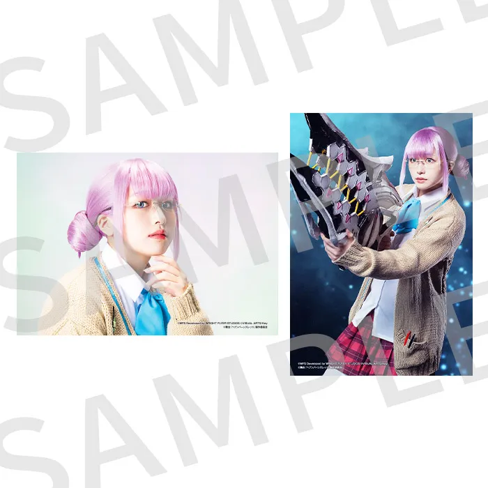 個人ブロマイド