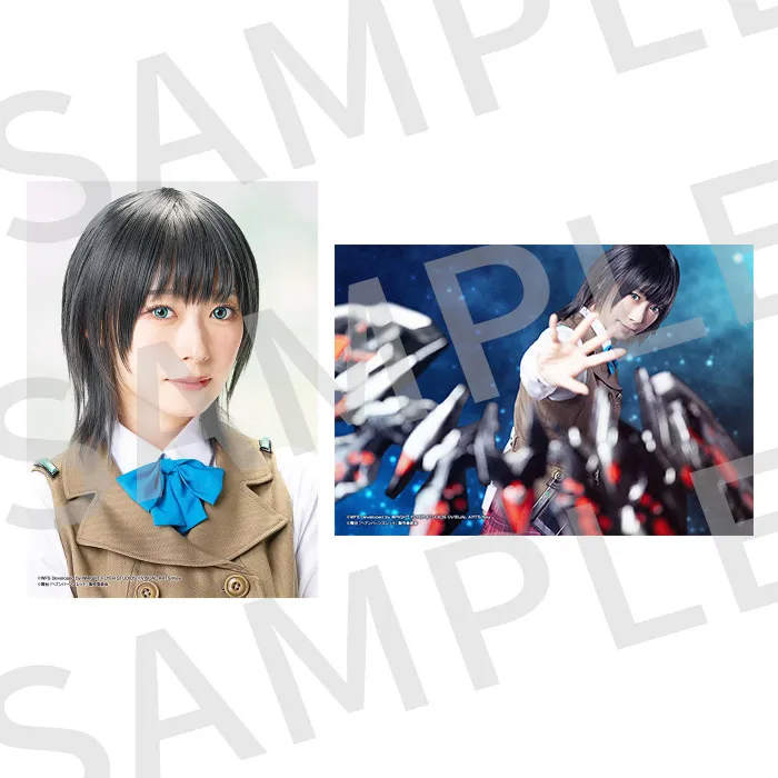 個人ブロマイド